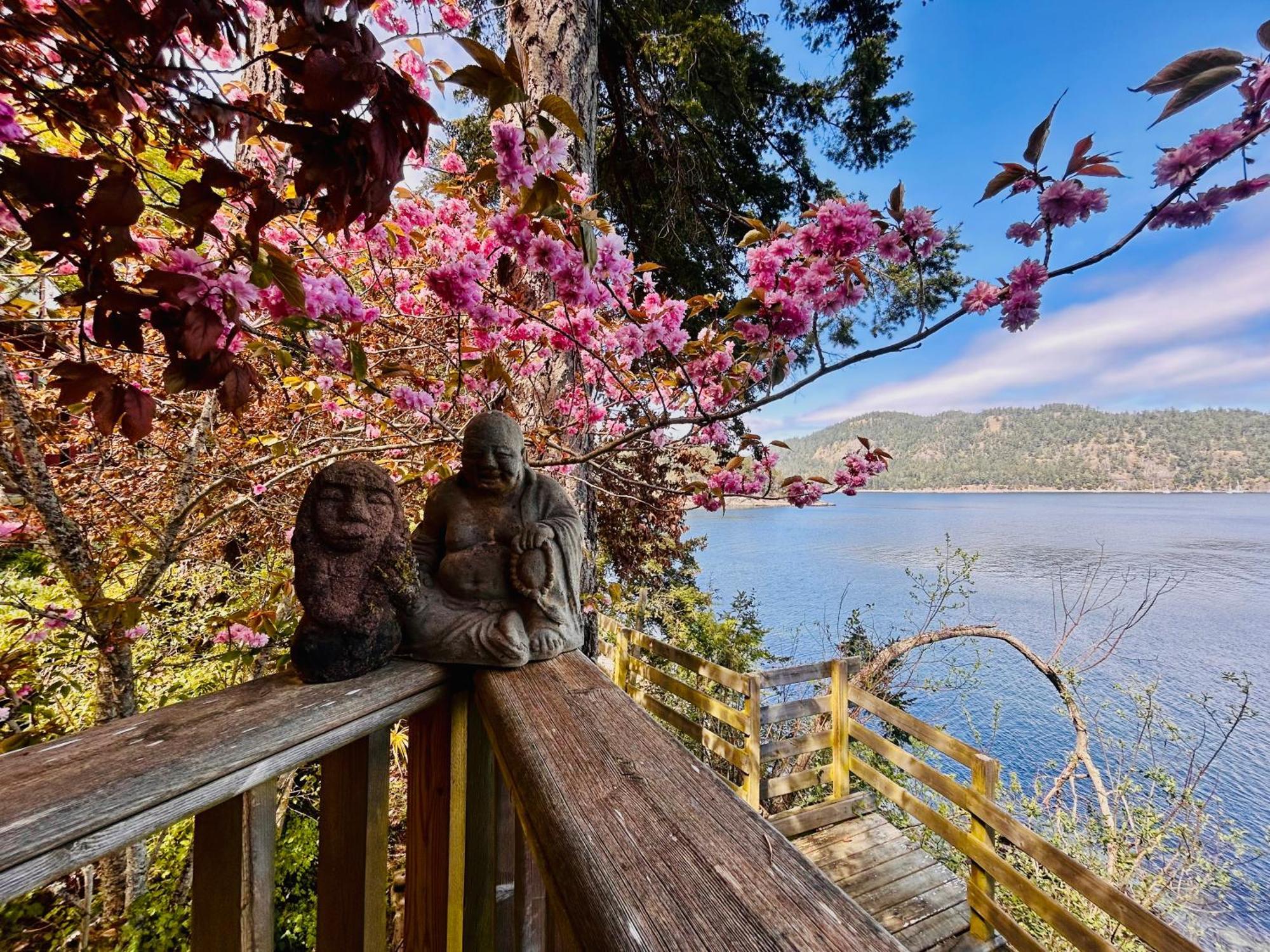 Shangrila Waterfront Vacation Home Bedwell Harbour Esterno foto