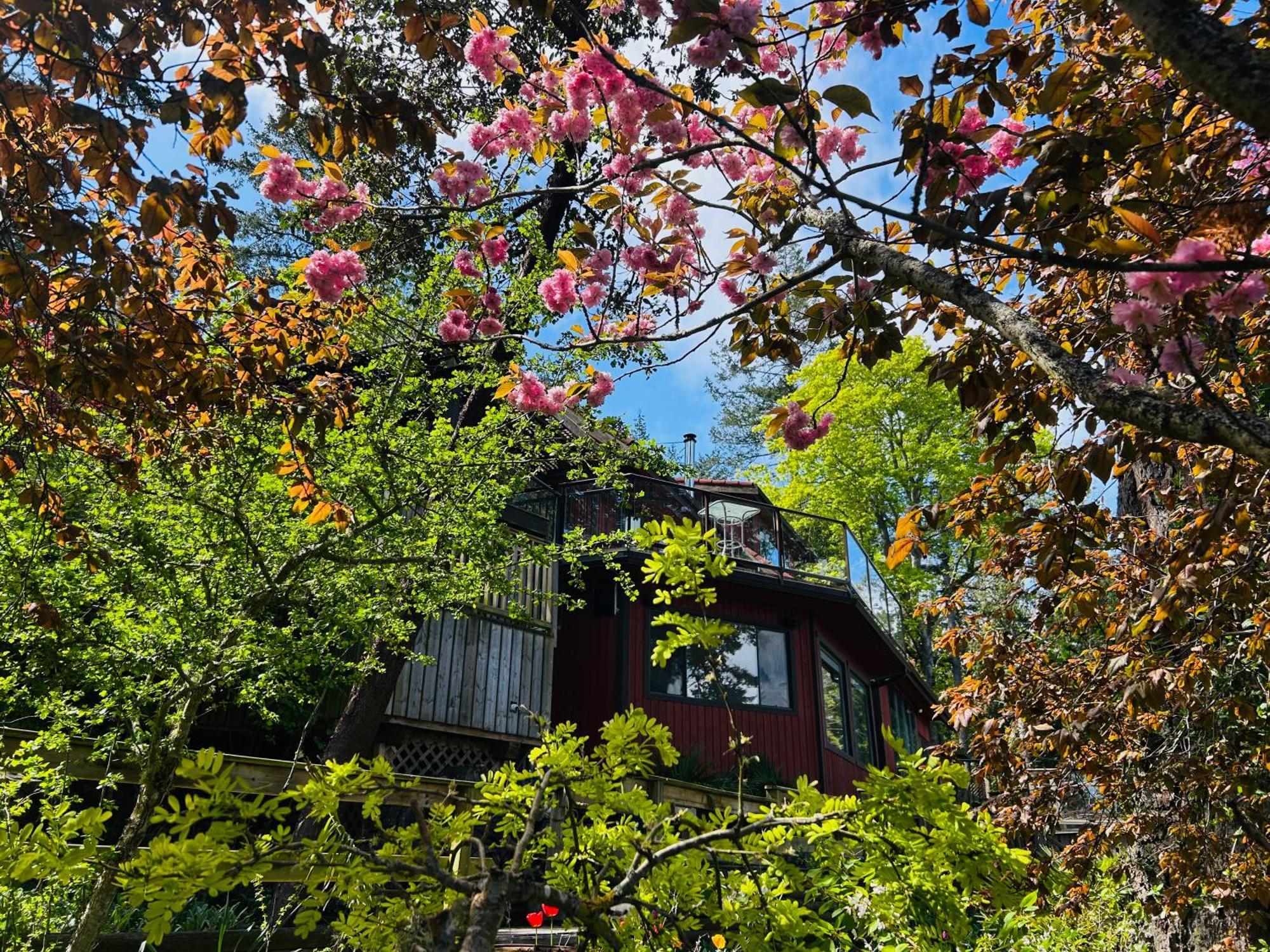Shangrila Waterfront Vacation Home Bedwell Harbour Esterno foto